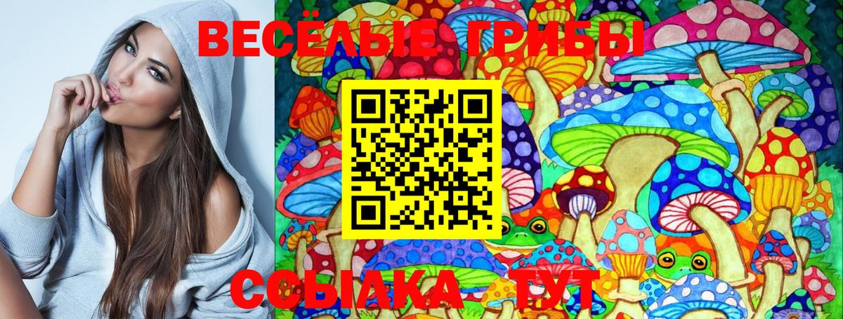 Псилоцибиновые грибы Psilocybe  Вход с VPN  Кизилюрт 
