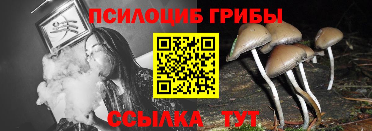 Псилоцибиновые грибы MAGIC MUSHROOMS Кизилюрт